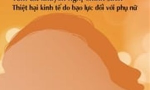 Tóm tắt khuyến nghị chính sách - Thiệt hại kinh tế do bạo lực đối với phụ nữ: Bạo Lực Đối Với Phụ Nữ Gây Thiệt Hại Hiện Thời và Lâu Dài Về Kinh Tế