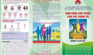 Tờ rơi bình đẳng giới trong lĩnh vực chính trị