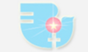 Báo cáo rà soát độc lập 10 năm thực hiện Luật Bình đẳng giới