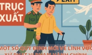 Infographics: Một số quy định mới về lĩnh vực xử phạt vi phạm hành chính