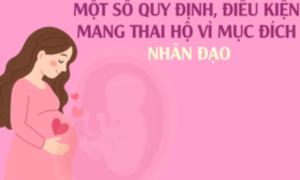 Infographics: Một số quy định, điều kiện mang thai hộ vì mục đích nhân đạo